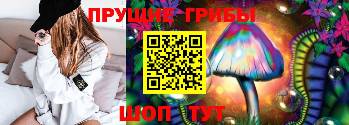 Галлюциногенные грибы Psilocybe  Псилоцибиновые грибы ЛСД  Вход с VPN  Чистополь 