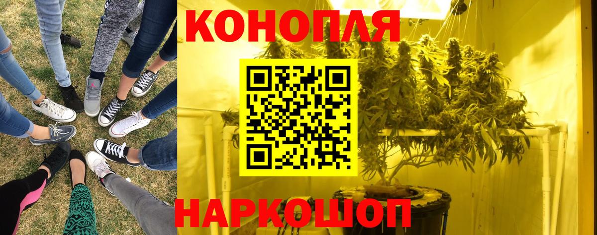 Канабис планчик Чистополь